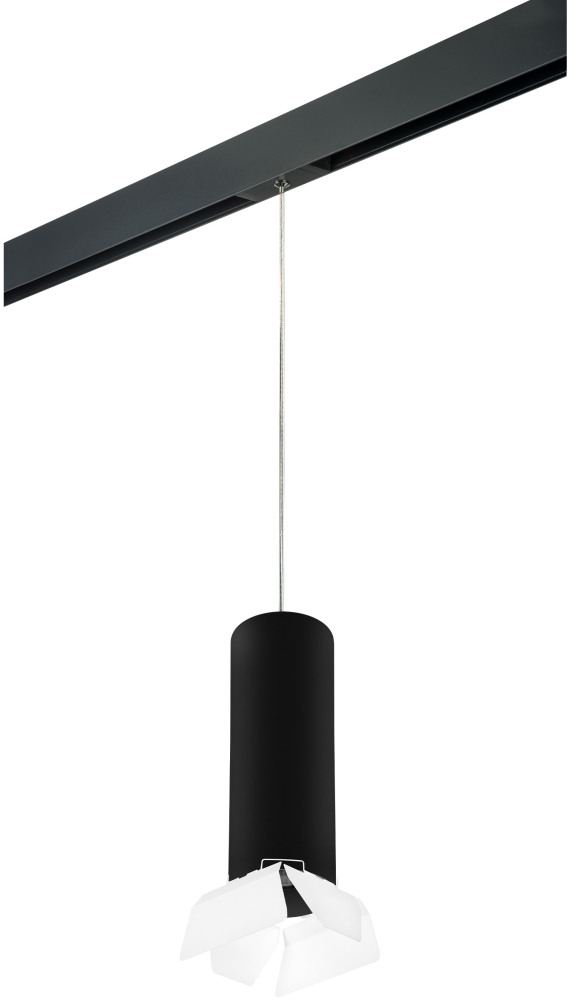 Трековый светильник однофазный 220V Lightstar Rullo PRORP6497486 (prorp6497486)