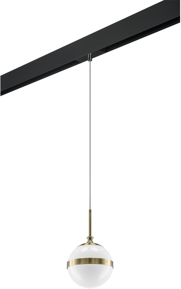 Трековый светильник однофазный 220V Lightstar Globo PRO813111 (pro813111)