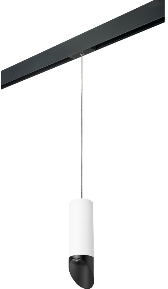 Трековый светильник однофазный 220V Lightstar Rullo PRORP48637 (prorp48637)