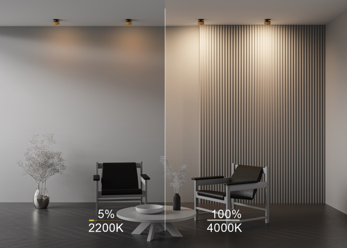 Встраиваемый светильник Maytoni Onda DL024-12W-DTW-BMG (dl024-12w-dtw-bmg)