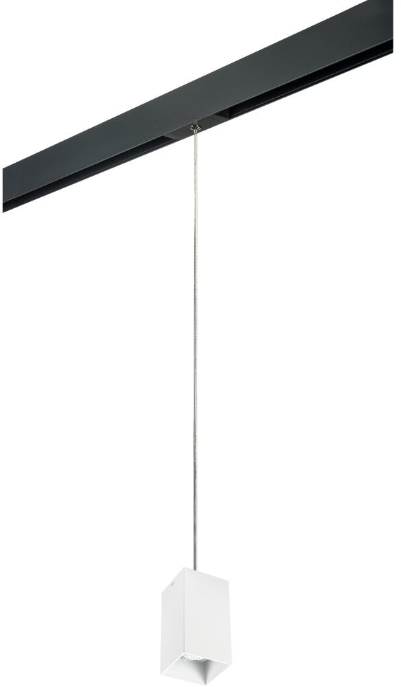 Трековый светильник однофазный 220V Lightstar Rullo PRORP6586 (prorp6586)