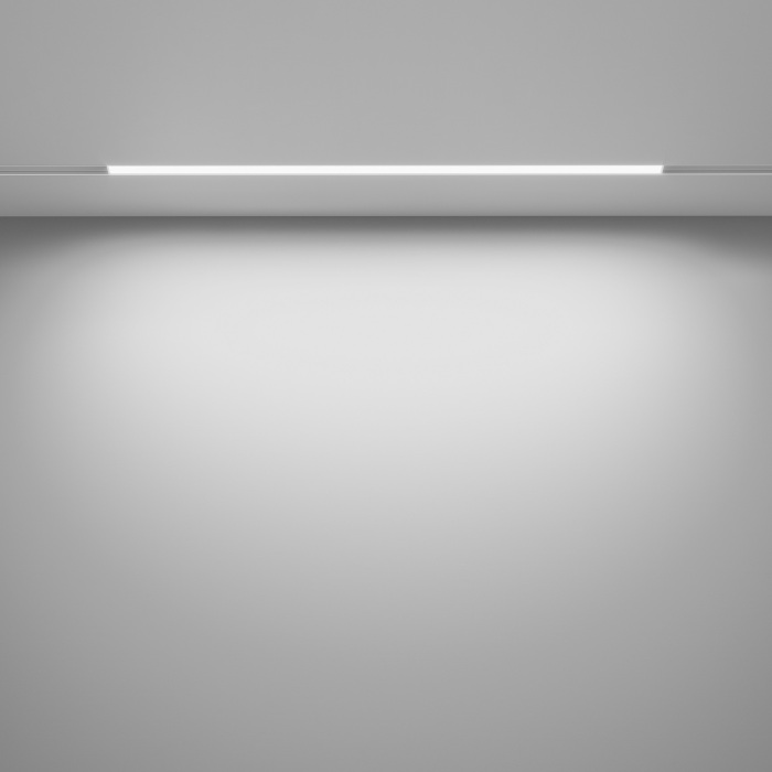 Трековый светильник Basis Exility 3000-6000K 24Вт 120 Dim Smart LED магнитный Maytoni Technical TR030-4-24W3K-WW-DS-W (tr030-4-24w3k-ww-ds-w)