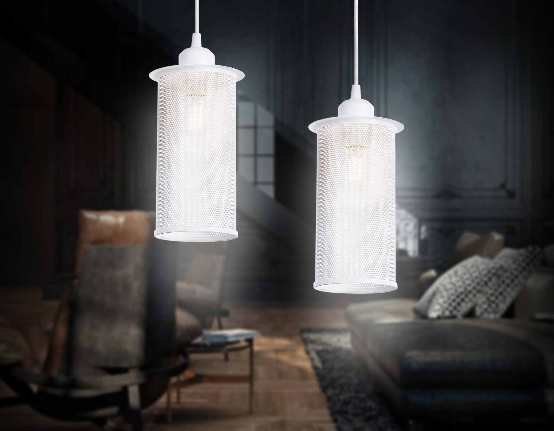 Подвесной светильник в стиле лофт TR8161 WH белый E27 max 40W D102*1055