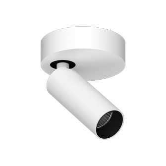 Накладной поворотный светодиодный светильник Ledron SAGITONY R1 S40 White-Black (2488)