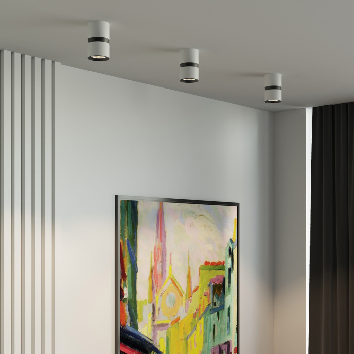 Светильник потолочный светодиодный Elektrostandard Kayo 12W 4000К белыйчерный a064731 (electrostandart_a064731)