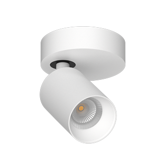 Накладной поворотный светодиодный светильник Ledron SAGITONY R1 S60 White (2508)