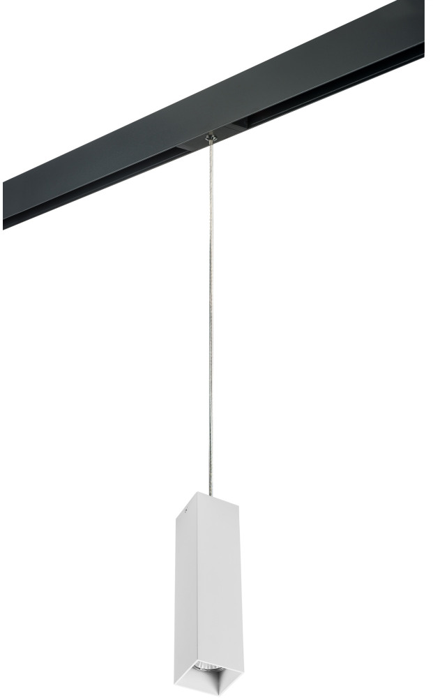 Трековый светильник однофазный 220V Lightstar Rullo PRORP6396 (prorp6396)