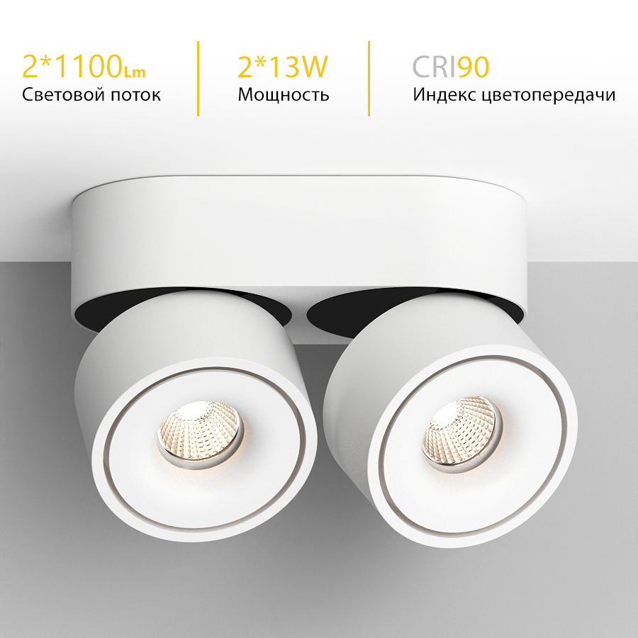 Накладной поворотный светодиодный светильник Ledron LH13W 2 White (2751)