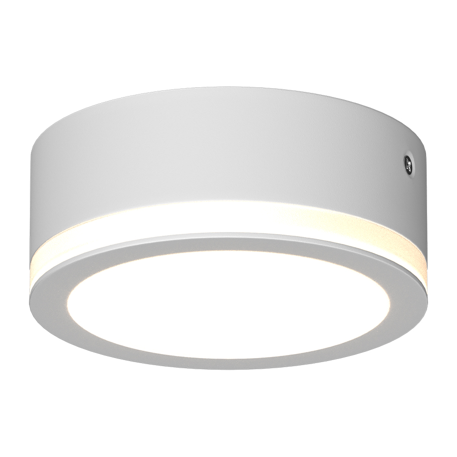 Накладной светодиодный светильник Ledron SDL10-R100-4200K White (2739)