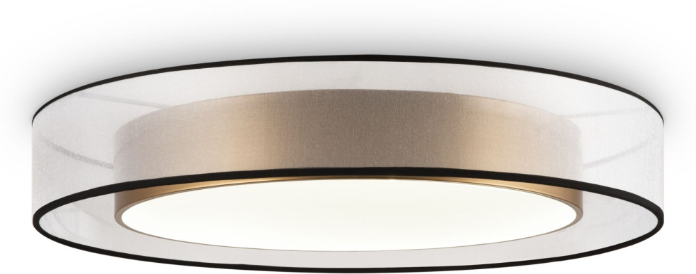 Потолочный светильник светодиодный Zoticus FR6005CL-L48G (fr6005cl-l48g)