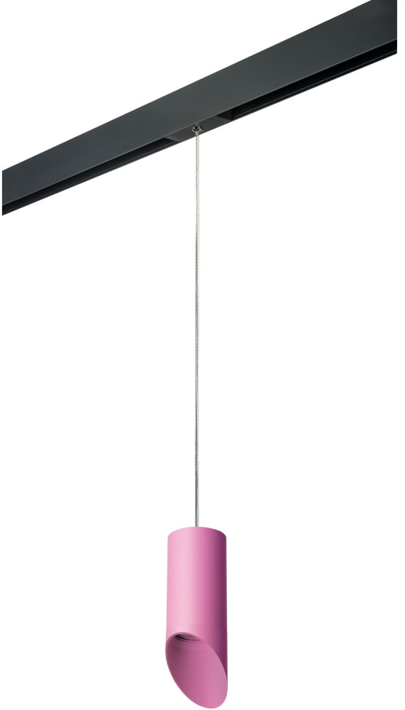 Трековый светильник однофазный 220V Lightstar Rullo PRORP43232 (prorp43232)