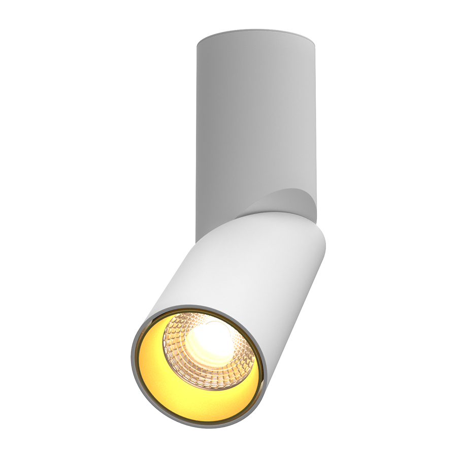 Накладной поворотный светильник под сменную лампу Ledron MJ1402 White-Gold (2843)