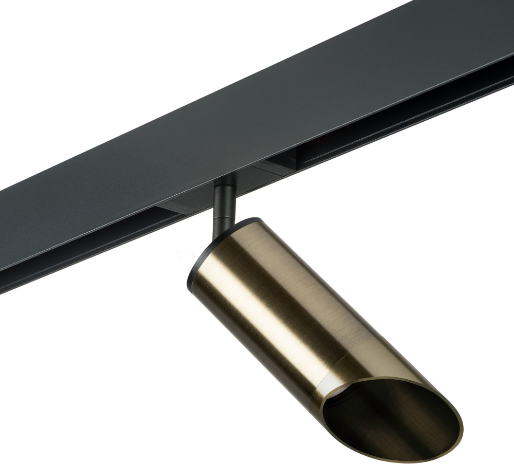 Трековый светильник однофазный 220V Lightstar Rullo PRO431431 (pro431431)