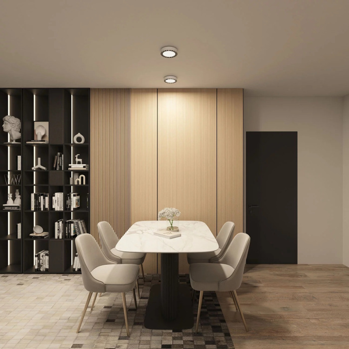 Потолочный светильник Denkirs Dual DK2840-WB (dk2840-wb)