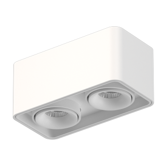 Накладной поворотный светодиодный светильник Ledron TUBING 2 White (2669)