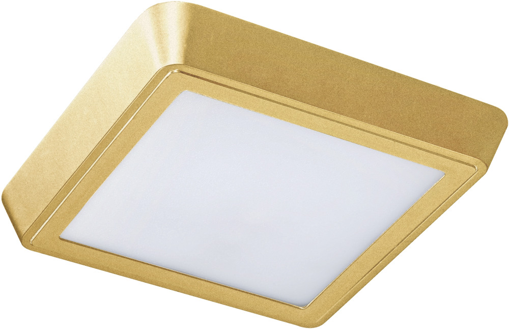 Светильник накладной со встроенными светодиодами Lightstar Urbano 216832 (216832)