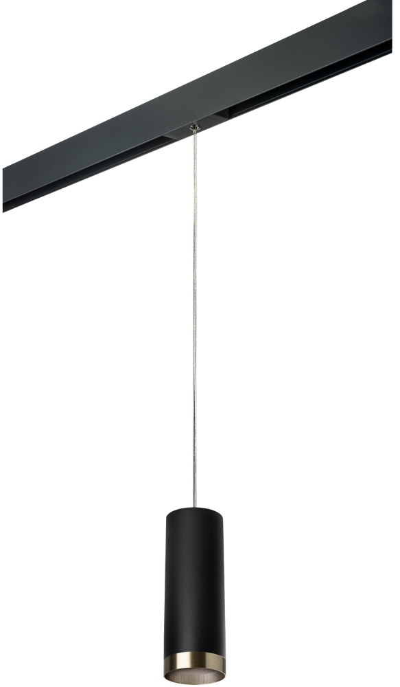 Трековый светильник однофазный 220V Lightstar Rullo PRORP487431 (prorp487431)