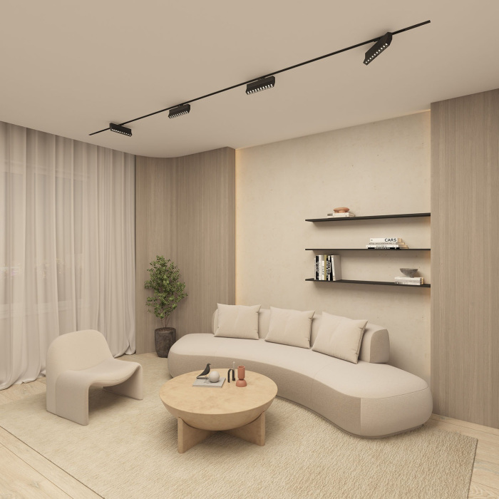 Трековый светильник однофазный 220V Denkirs Edder DK6646-BK (dk6646-bk)