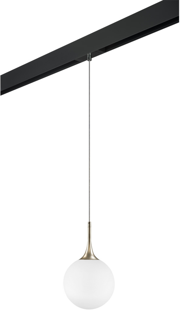 Трековый светильник однофазный 220V Lightstar Globo PRO813023 (pro813023)