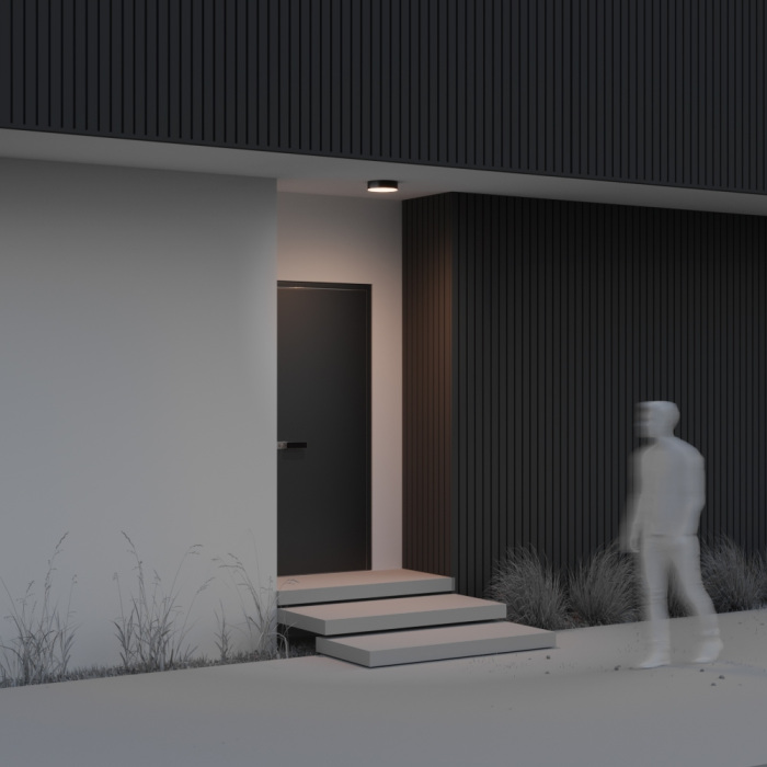 Потолочный светильник уличный Maytoni Zon IP O431CL-L30B3K (o431cl-l30b3k)