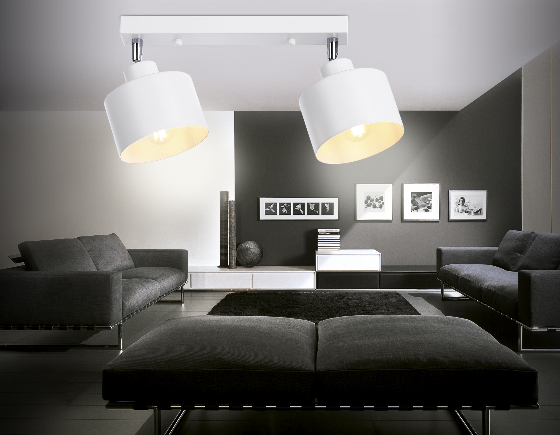 Настенно-потолочный спот в стиле лофт TR8141/2 WH белый E27*2 max 40W 340*120*180