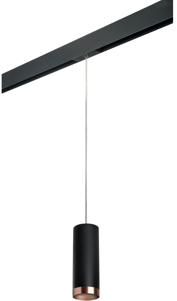 Трековый светильник однофазный 220V Lightstar Rullo PRORP487430 (prorp487430)