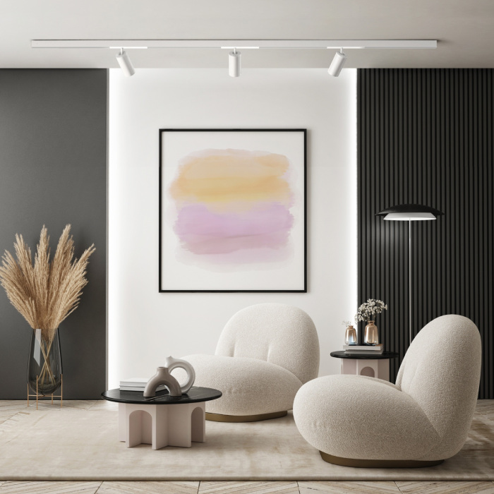 Трековый светильник светодиодный с пультом управлением смартфоном и голосом регулировкой цветовой температуры DK8020-WH (dk8020-wh)