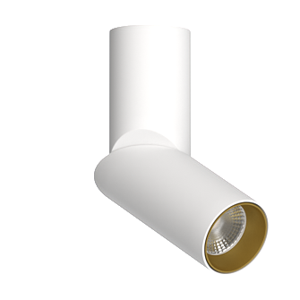 Накладной поворотный светильник под сменную лампу Ledron MJ1402 White-Gold (2843)