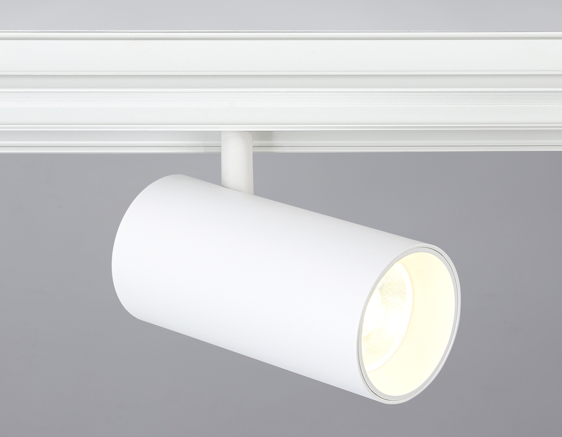 Светильник светодиодный трековый для шинопровода Magnetic GL3838 WH белый IP20 20W 4200K 48V 24° D67*138