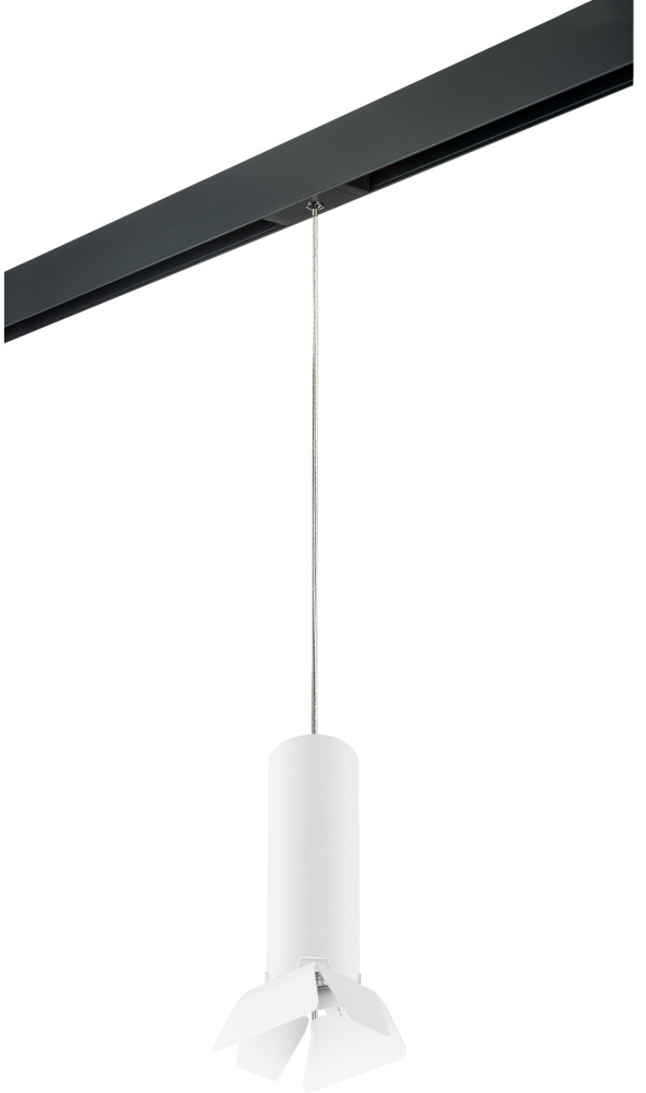 Трековый светильник однофазный 220V Lightstar Rullo PRORP496436 (prorp496436)