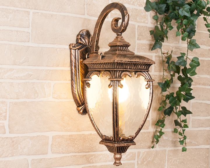 Настенный уличный фонарь GLYF-8024D черное золото Elektrostandard Andromeda GLYF-8024D (electrostandart_a027996)