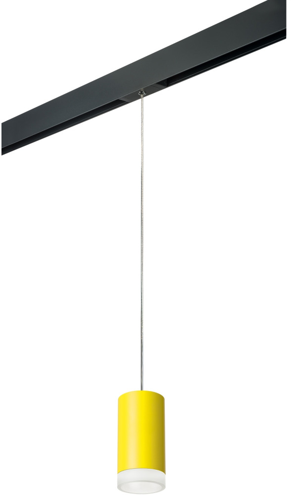 Трековый светильник однофазный 220V Lightstar Rullo PRORP43330 (prorp43330)