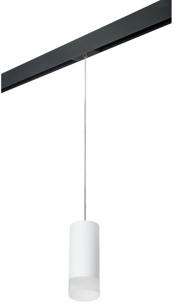 Трековый светильник однофазный 220V Lightstar Rullo PRORP648681 (prorp648681)