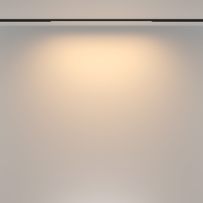 Трековый светильник магнитный 16W 48V Maytoni Basis TR173-1-16WTW-B (tr173-1-16wtw-b)