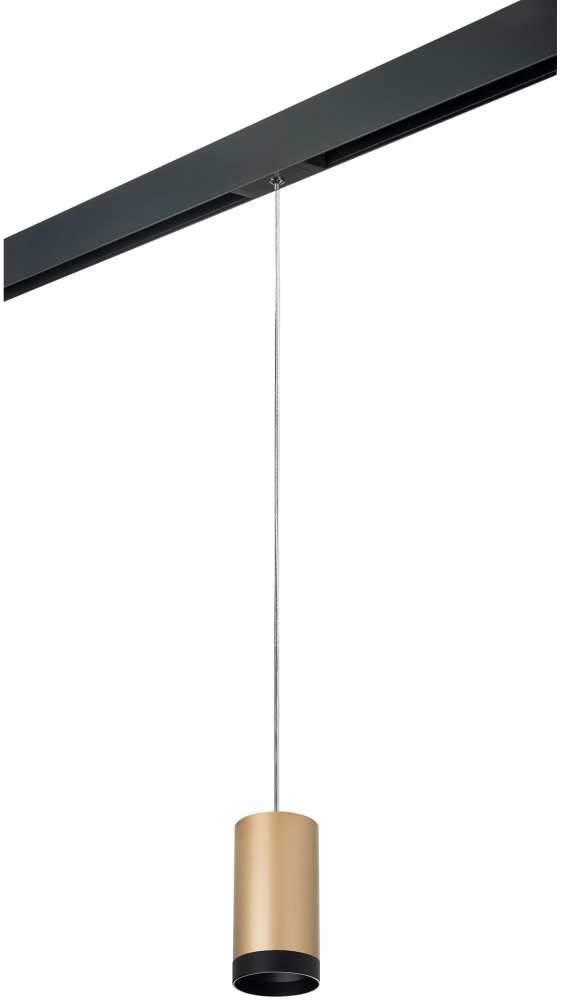 Трековый светильник однофазный 220V Lightstar Rullo PRORP440437 (prorp440437)