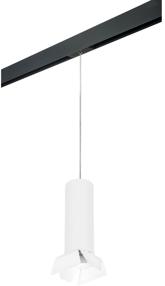 Трековый светильник однофазный 220V Lightstar Rullo PRORP6496486 (prorp6496486)