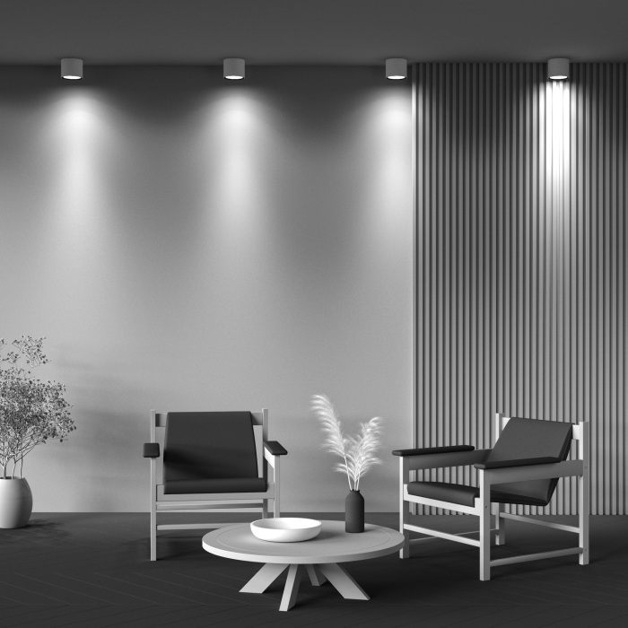 Накладной потолочный светильник Alfa LED 3000K 1x25Вт 60 Dim Triac Maytoni Technical C064CL-01-25W3K-D-RD-WB (c064cl-01-25w3k-d-rd-wb)