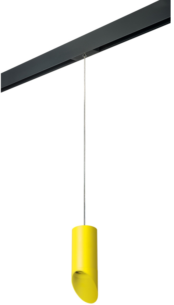 Трековый светильник однофазный 220V Lightstar Rullo PRORP43333 (prorp43333)