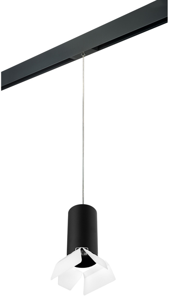 Трековый светильник однофазный 220V Lightstar Rullo PRORP6487486 (prorp6487486)