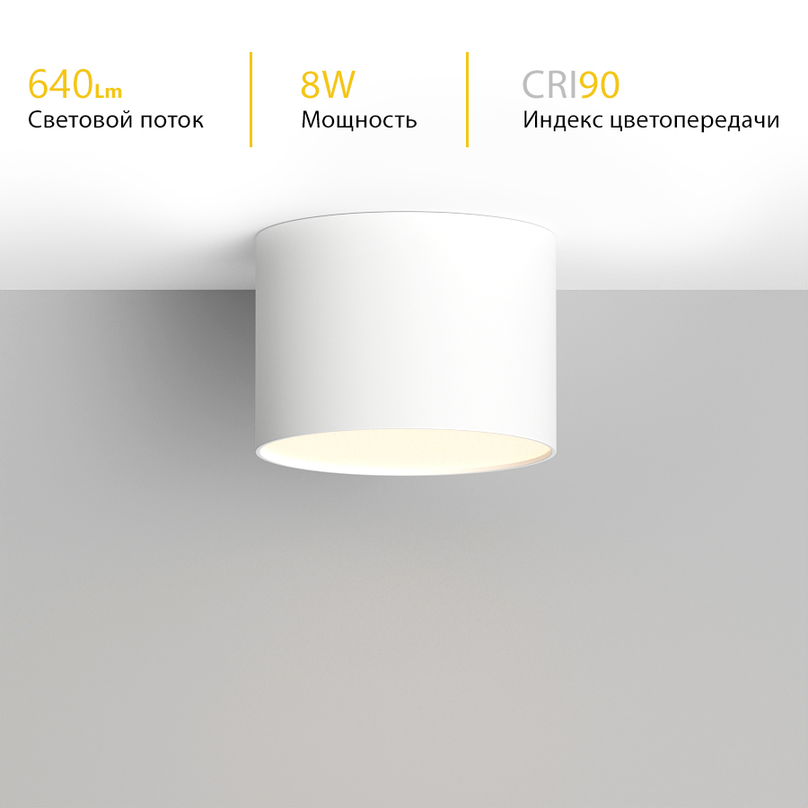 Накладной светодиодный светильник Ledron LXS0812-8W White 4000K (2728)