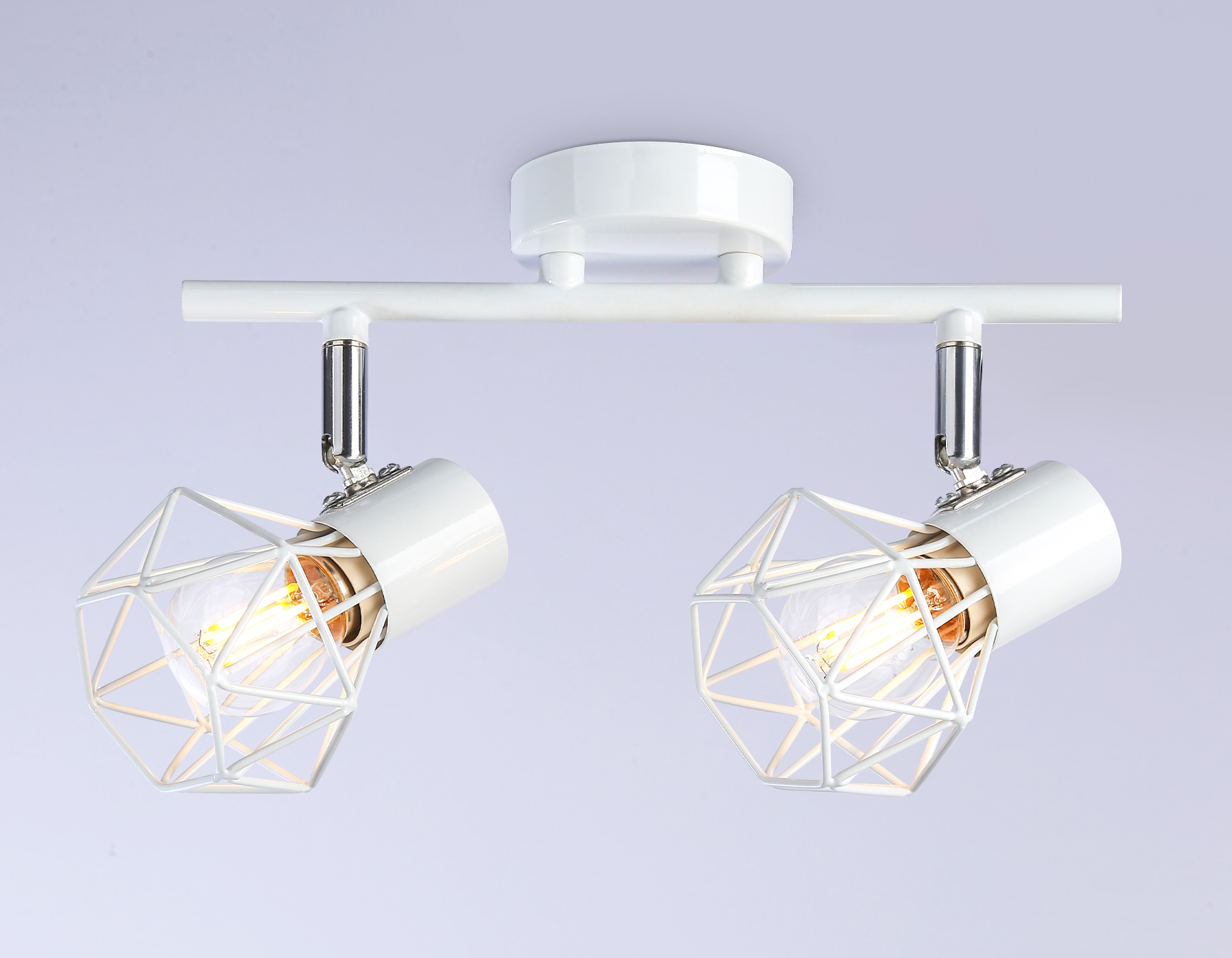 Настенно-потолочный спот в стиле лофт TR8628/2 WH/CH белый/хром E27*2 max 40W 260*91*175