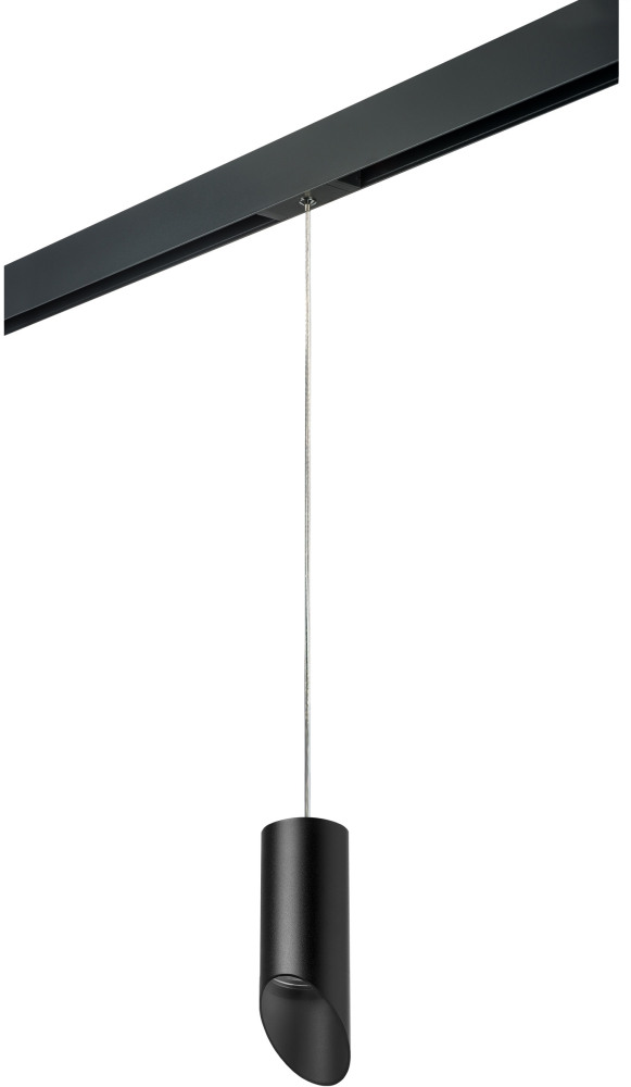 Трековый светильник однофазный 220V Lightstar Rullo PRORP43737 (prorp43737)