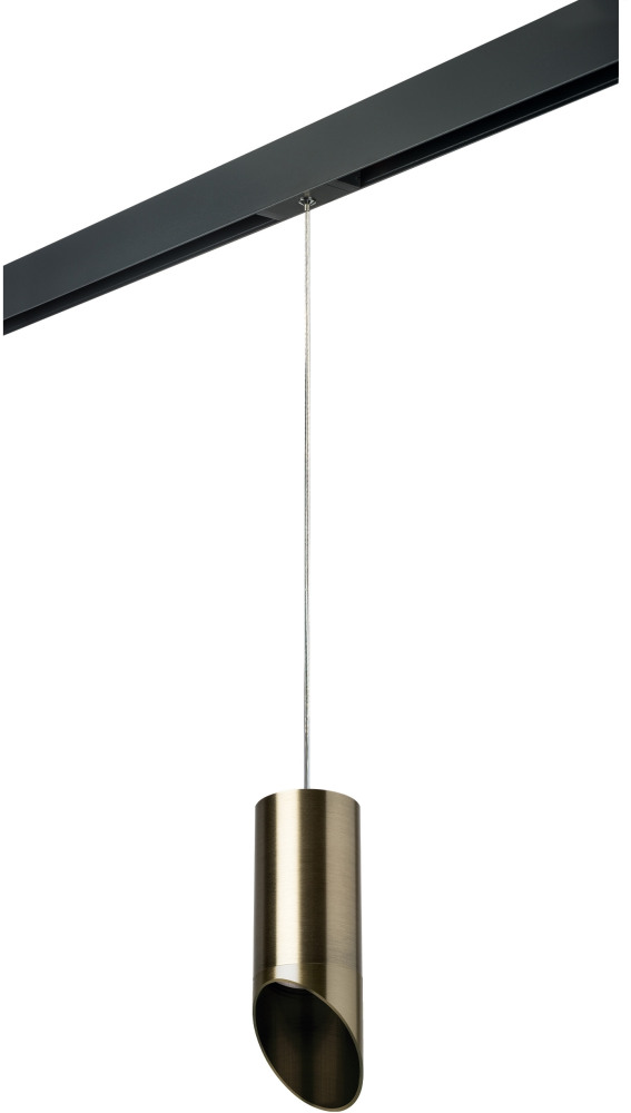 Трековый светильник однофазный 220V Lightstar Rullo PRORP431431 (prorp431431)