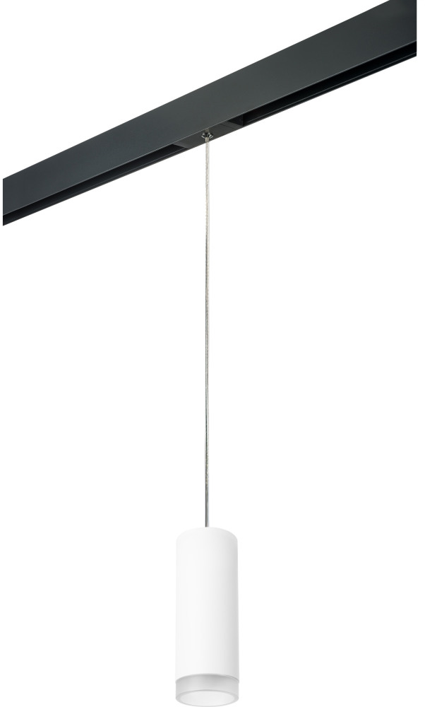 Трековый светильник однофазный 220V Lightstar Rullo PRORP48630 (prorp48630)