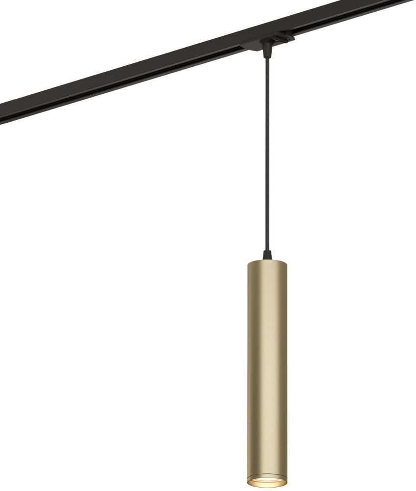 Трековый светильник однофазный 220V Tube DK6210-BG (dk6210-bg)