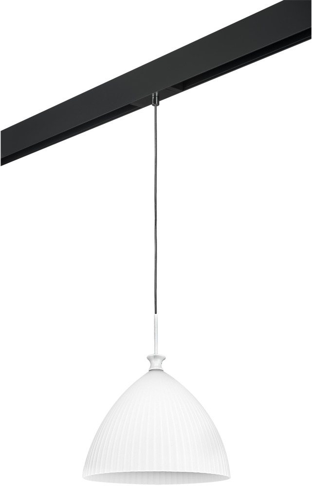 Трековый светильник однофазный 220V Lightstar Agola PRO810030 (pro810030)
