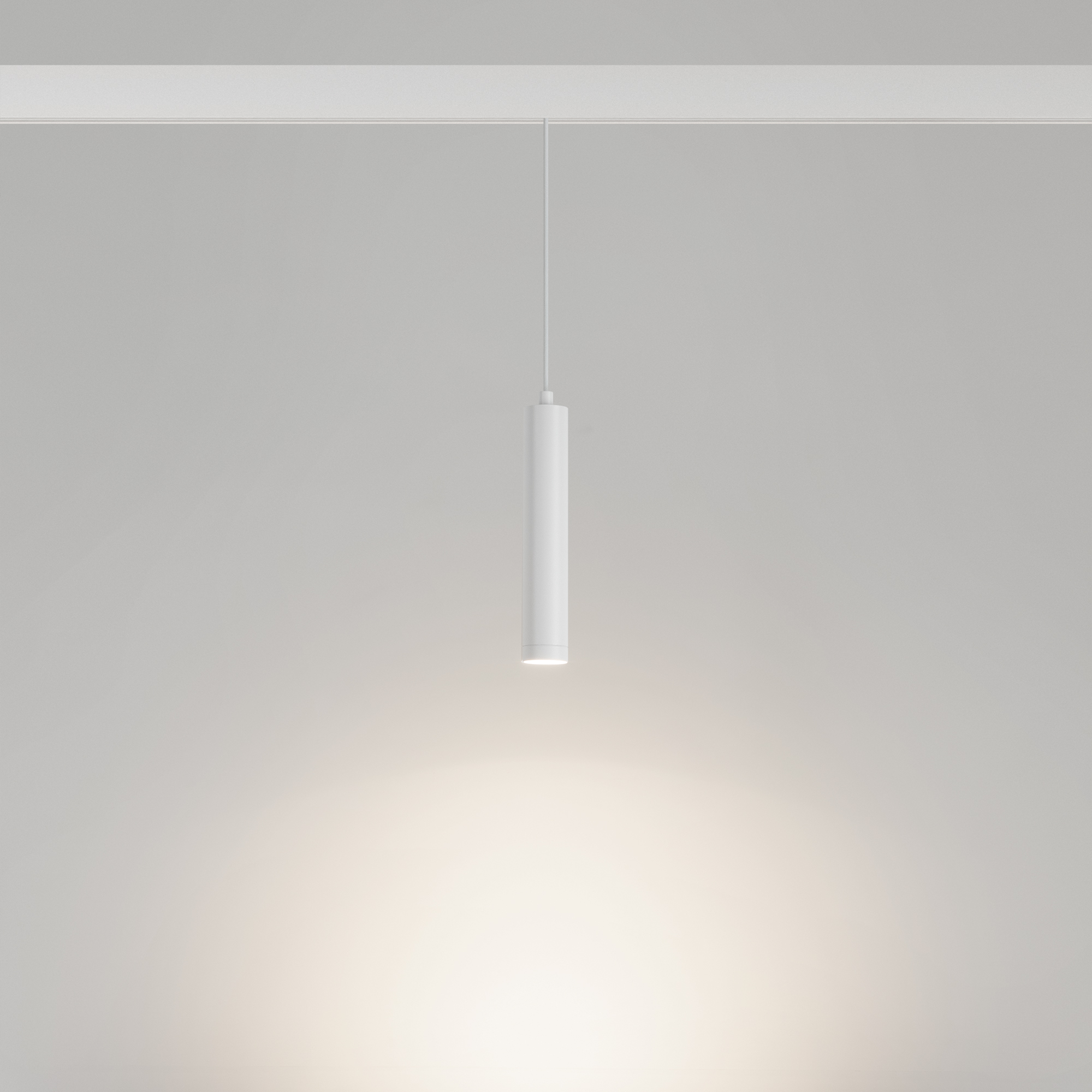 Светильник MAG-ORIENT-SPOT-HANG-R45-12W Day4000 (WH, 24 deg, 48V) (Arlight, IP20 Металл, 5 лет) 035828