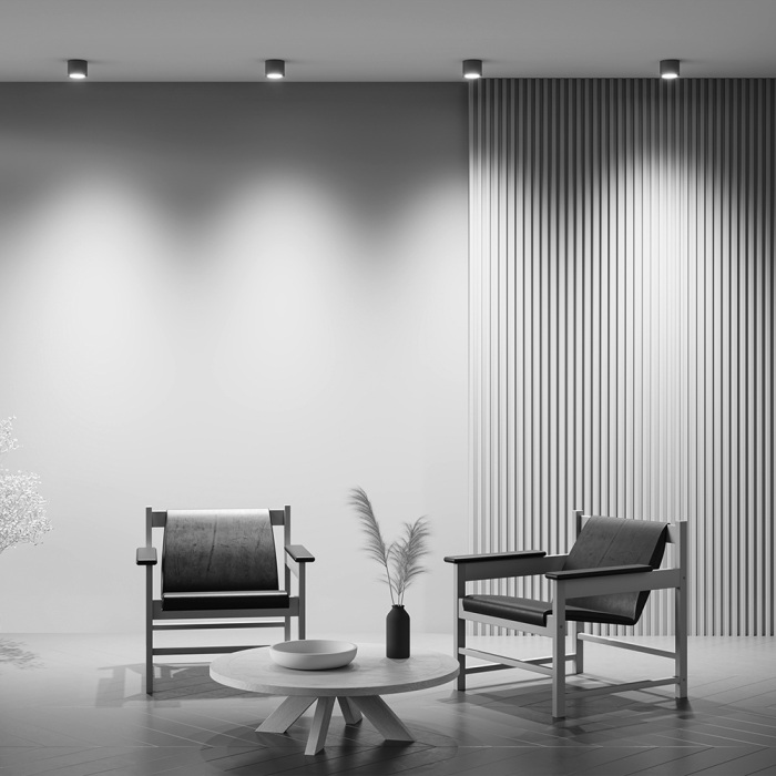 Накладной потолочный светильник Maytoni Rendo C095CL-GX53-GR (c095cl-gx53-gr)