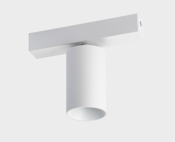 DANNY E1 white светильник потолочный