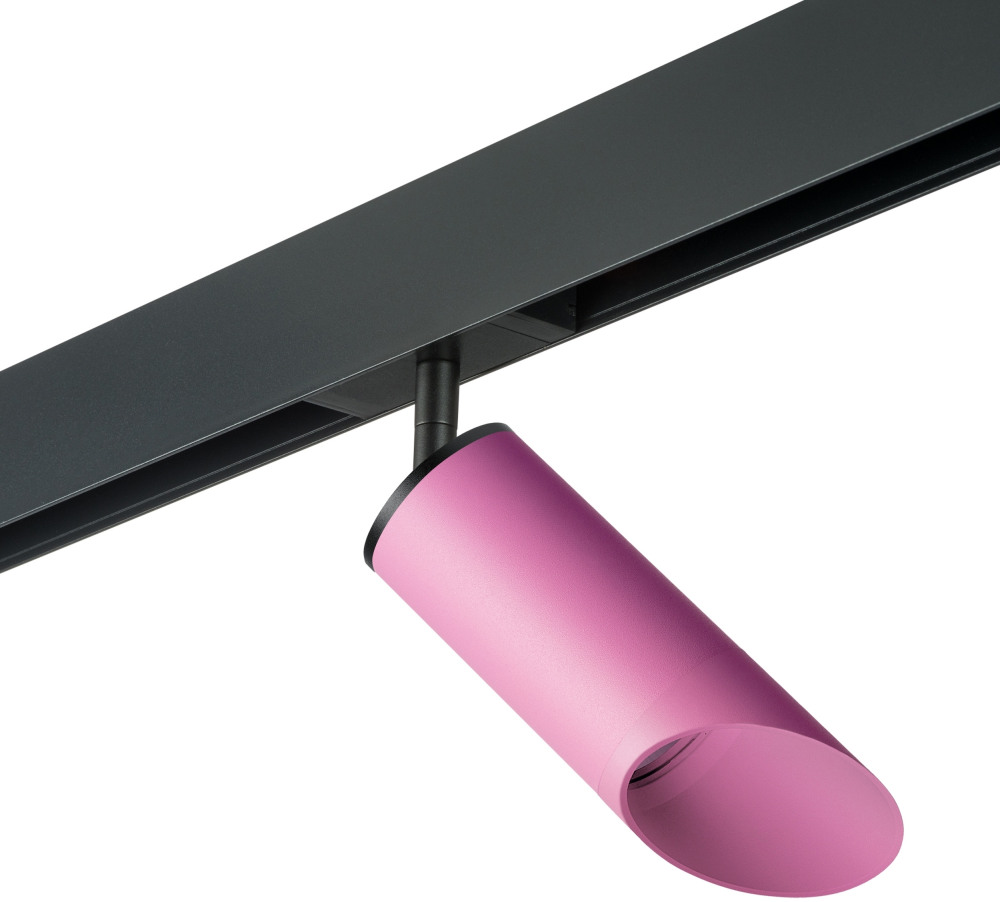 Трековый светильник однофазный 220V Lightstar Rullo PRO43232 (pro43232)